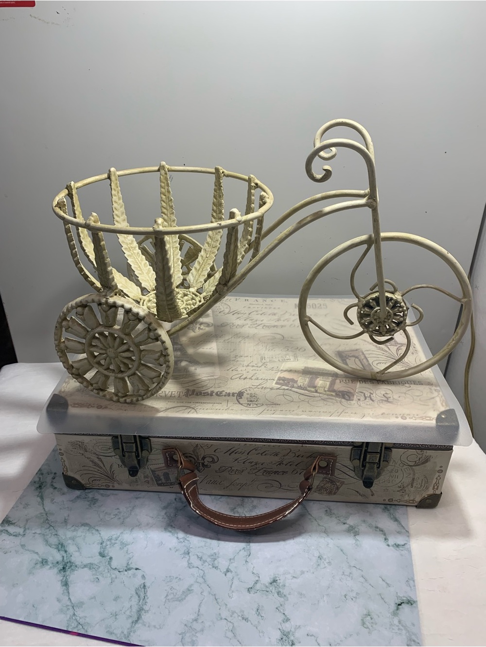 Metal Tricycle Plant Holder